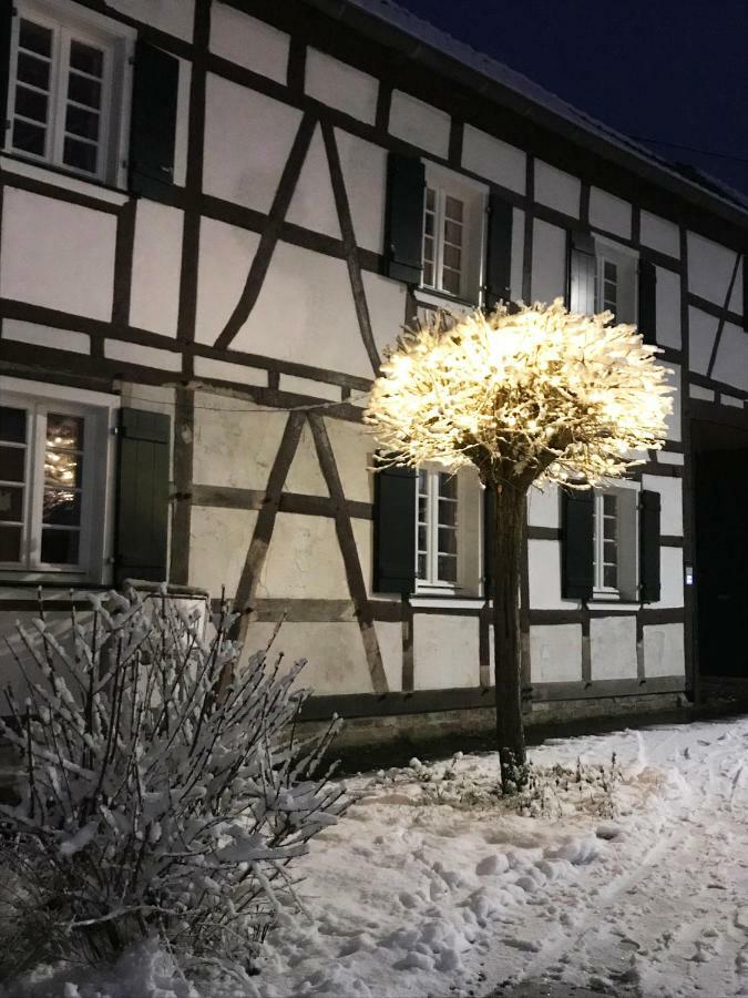 Sonnige Fachwerkwohnung Alfter Екстериор снимка